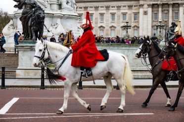 Gritty Travel - Photo of Buckingham Palace Horse Guard White Horse
