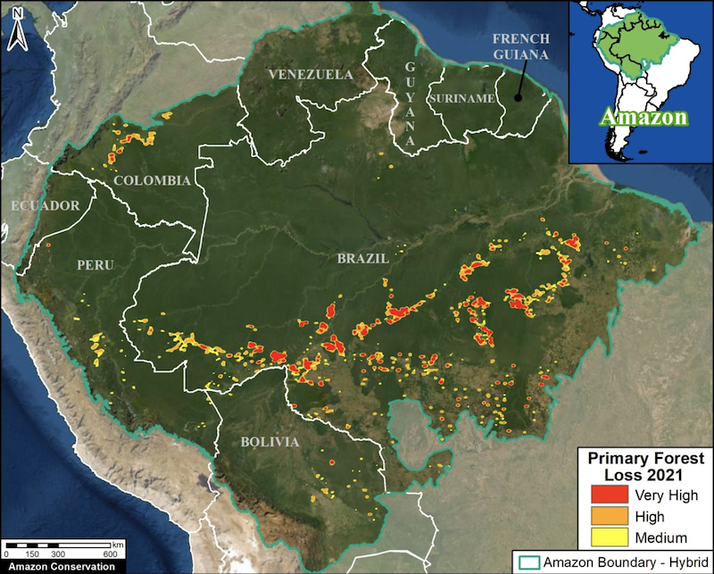 Brazil leads Amazon in forest loss this year, Indigenous and protected areas hold out