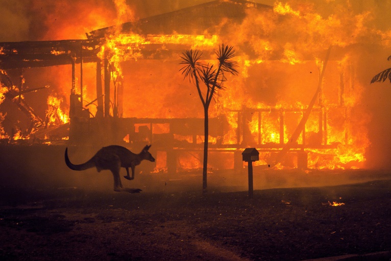 One year since Australia's devastating wildfires, anger grows at climate change 'inaction'