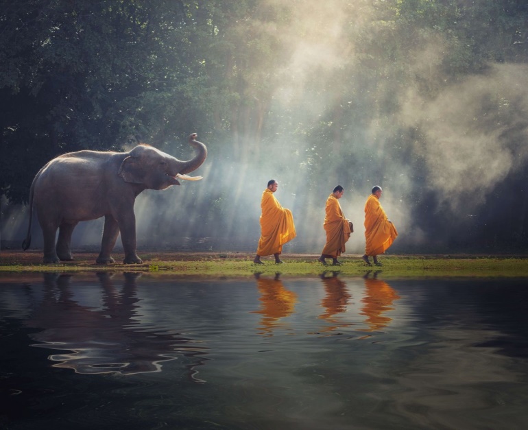 Wallpaper Mural - Elephant and Buddhists - Photo Wallpaper