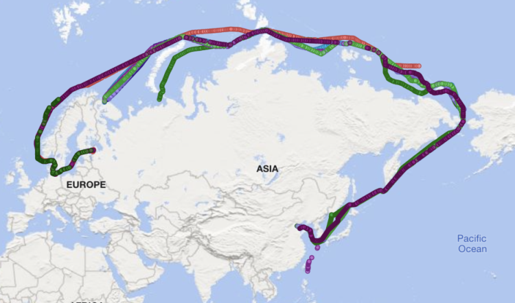 New Report: Busy Summer for Arctic Shipping on Russia's Northern Sea Route