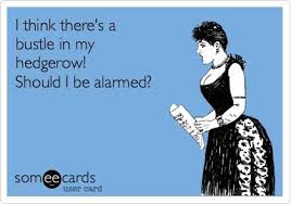 It's just a spring clean for the May queen... 🤣~CG'~😆