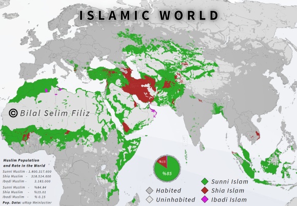 Islamic World in the 21st Century : r/MapPorn